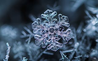 Картинка снег, снежинка, зима, лед, природа, холод, красота