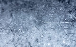 Картинка снег, снежинки, зима, лед, холод, природа, фон