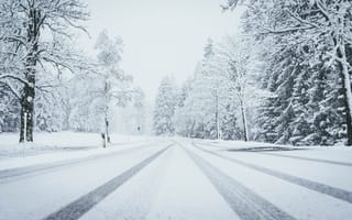 Картинка зима, снег, дорога, пейзаж, деревья, холод, природа
