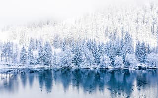 Картинка зима, снег, лес, озеро, природа, пейзаж, мгла, отражение