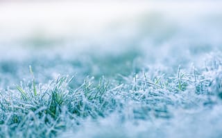 Картинка трава, мороз, зима, природа, лед, пейзаж, холод