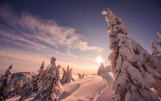 Картинка зима, снег, лес, солнце, пейзаж, природа, горные вершины