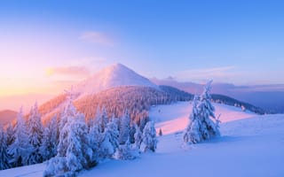 Картинка зима, горы, снег, пейзаж, природа, закат, лес