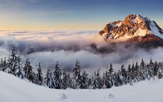 Картинка гора, снег, пейзаж, облака, природа, зима, лес, закат