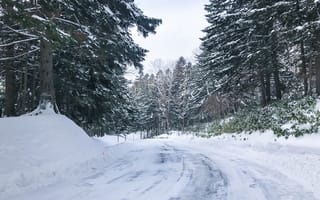 Картинка зима, снег, лес, дорога, природа, пейзаж, холод