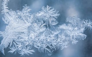 Картинка лед, кристаллы, зима, мороз, природа, холод, фото