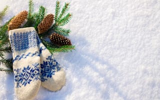 Картинка снег, варежки, зима, елка, шишки, природа, холод