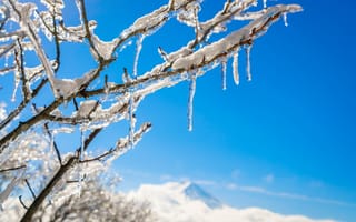 Картинка зима, снег, лед, дерево, небо, природа, пейзаж