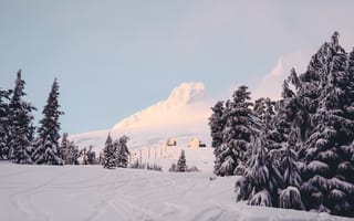 Картинка зима, снег, горы, лес, пейзаж, природа, холод