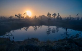 Картинка природа, закат, озеро, лес, туман, пейзаж, отражение