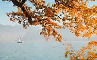 Картинка осень, природа, озеро, пейзаж, корабль, дерево, горы