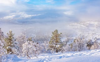 Картинка зима, снег, пейзаж, лес, горы, природа, облака