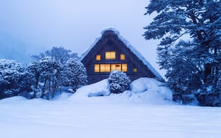 Картинка зима, снег, дом, природа, пейзаж, холод, лес, ночь, архитектура, уют