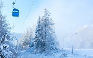 Картинка зима, снег, горнолыжный курорт, канатная дорога, лес, пейзаж, природа, холод, сосны, небо