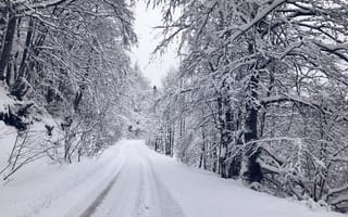 Картинка зима, снег, лес, дорога, пейзаж, природа, холод