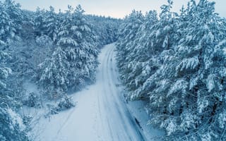 Картинка зима, снег, лес, дорога, природа, пейзаж, холод