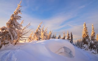 Картинка зима, снег, лес, природа, пейзаж, деревья, горы, солнце, холод, небо