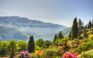 Картинка пейзаж, горы, озеро, цветы, природа, лето, деревья, солнце, красота, отдых