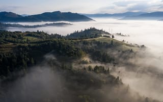 Картинка природа, горы, туман, пейзаж, лес, утро, вода