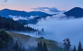 Картинка горы, туман, природа, пейзаж, лес, утро, небо