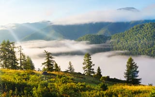 Картинка природа, горы, туман, лес, пейзаж, свет, осень, красота