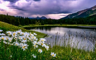 Картинка природа, озеро, цветы, горы, пейзаж, небо, лес