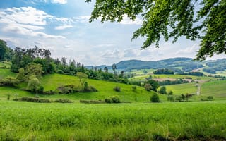 Картинка пейзаж, природа, зелень, горы, небо, деревья, лето