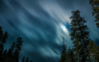 Картинка ночное небо, луна, облака, звезды, лес, природа, пейзаж