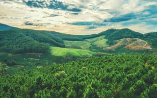 Картинка природа, пейзаж, горы, лес, небо, зелень, долина, облака