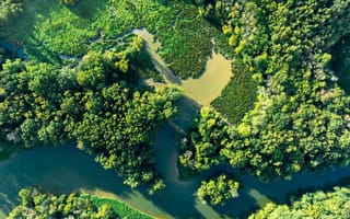 Картинка природа, река, лес, пейзаж, зелень, водоем, воздушная съемка, экология, ландшафт, отдых