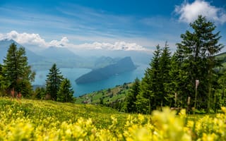 Картинка природа, горы, озеро, лес, цветы, пейзаж, небо, лето, зелень, швейцария