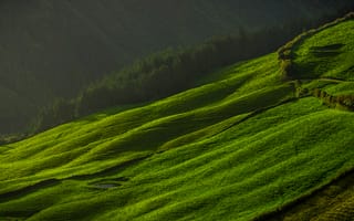 Картинка пейзаж, зелень, природа, горы, долина, свет, освещение