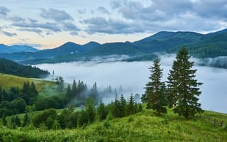 Картинка природа, горы, лес, туман, пейзаж, озеро, закат