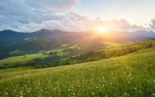 Картинка пейзаж, горы, закат, природа, зелень, цветы, небо