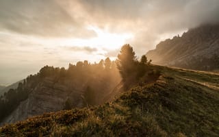 Картинка горы, природа, закат, пейзаж, лес, облака, свет