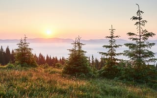 Картинка природа, закат, лес, горы, деревья, пейзаж, мгновение