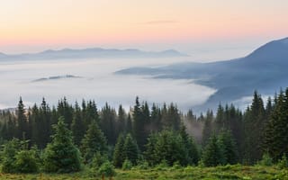 Картинка горы, лес, туман, природа, закат, пейзаж, мир