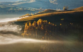 Картинка природа, пейзаж, осень, деревья, туман, горы, мгла