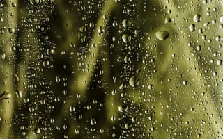 Картинка капли, вода, фон, текстура, зеленый, природа, абстракция