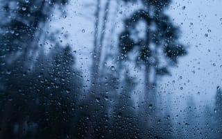 Картинка дождь, окно, природа, мокро, туман, лес, пейзаж