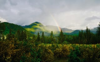 Картинка природа, горы, радуга, лес, пейзаж, зелень, небо