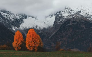 Картинка горы, осень, деревья, пейзаж, природа, снег, облака