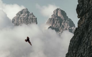 Картинка горы, птица, облака, природа, пейзаж, небо, высота