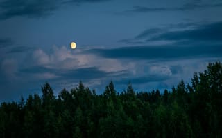 Картинка луна, небо, облака, лес, природа, вечер, пейзаж