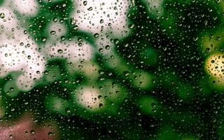 Картинка дождь, окно, капли, природа, зелень, размытость, атмосфера