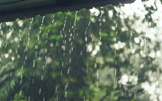 Картинка дождь, природа, вода, зелень, осень, пейзаж, мокро