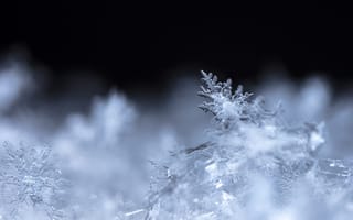 Картинка снег, кристаллы, зима, природа, холод, макро, фон