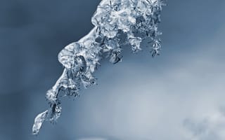 Картинка лед, ветка, зима, природа, мороз, красота, фотография