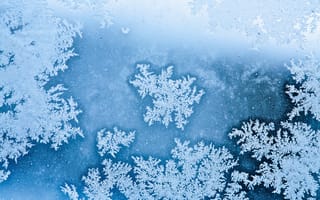 Картинка снег, зима, лед, узоры, холод, природа, фотография