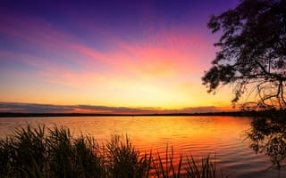 Картинка закат, озеро, природа, пейзаж, небо, растительность, водная гладь